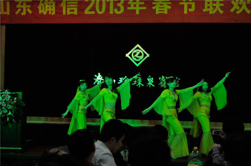 2013年会(图4)