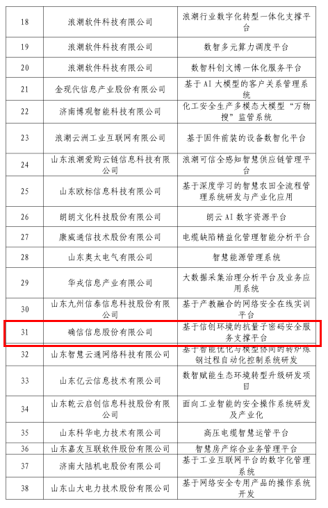 确信信息入选！第五批山东省软件产业高质量发展重点项目拟认定名单(图2)